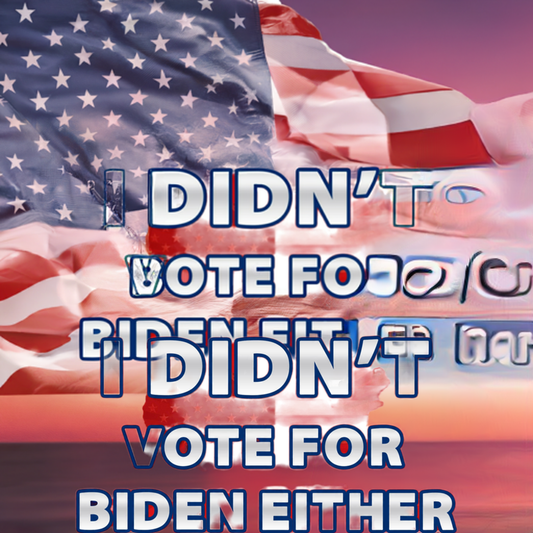 I Didn't Vote for Biden Either